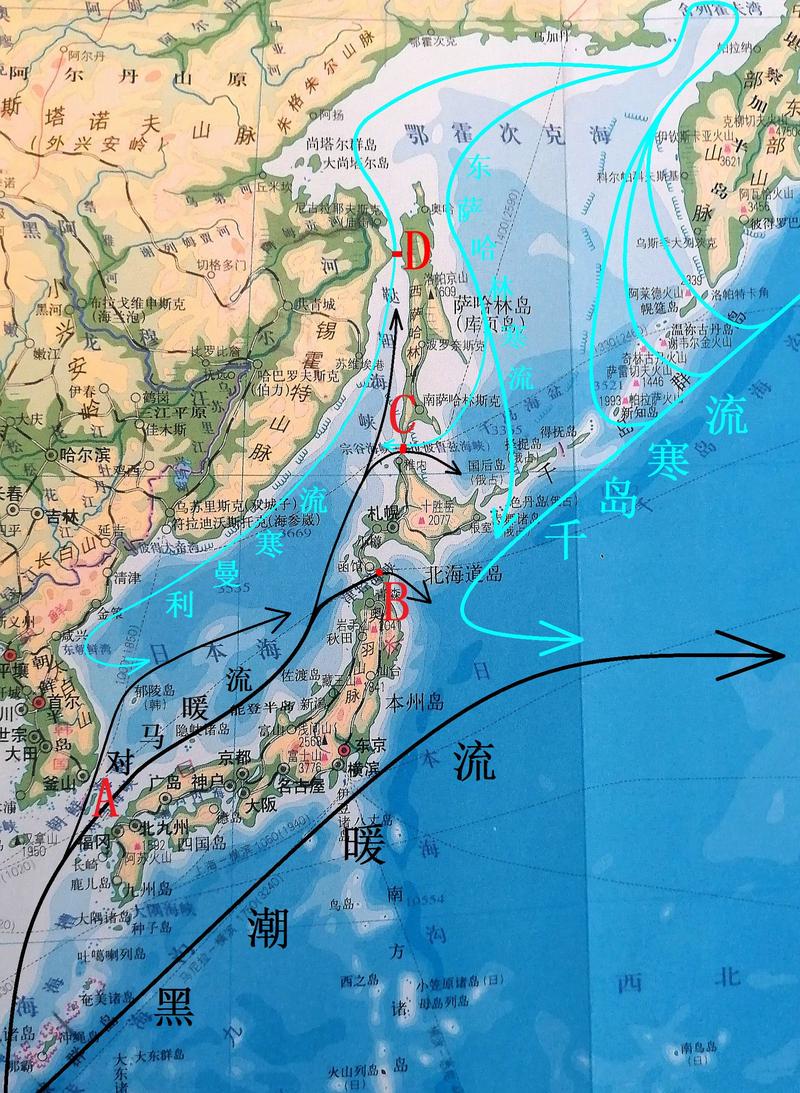 如果保留对马海峡把鞑靼海峡宗谷海峡津轻海峡三个堵上几个日本海会有