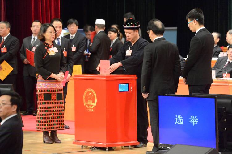 海南省第六届人民代表大会第一次会议进行选举