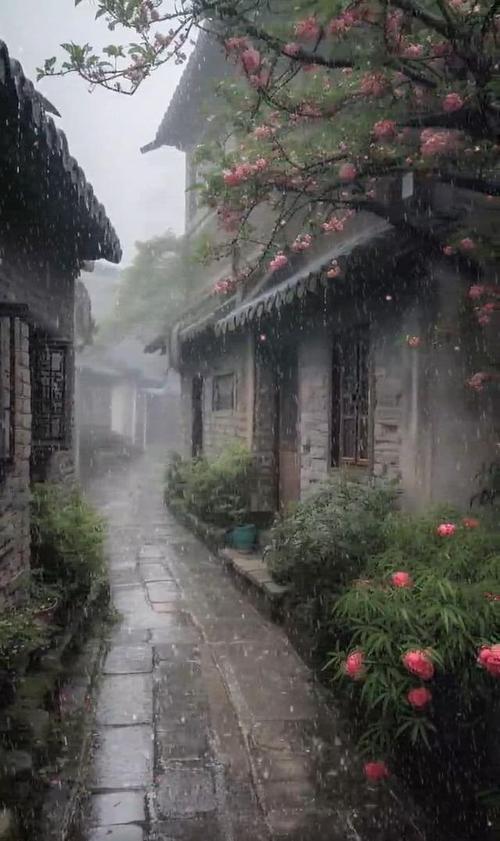 而在江南,一个被烟雨笼罩的小镇更能让人沉浸在这种意境之中.