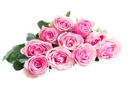 粉红色的花蕾粉红色的玫瑰花蕾照片