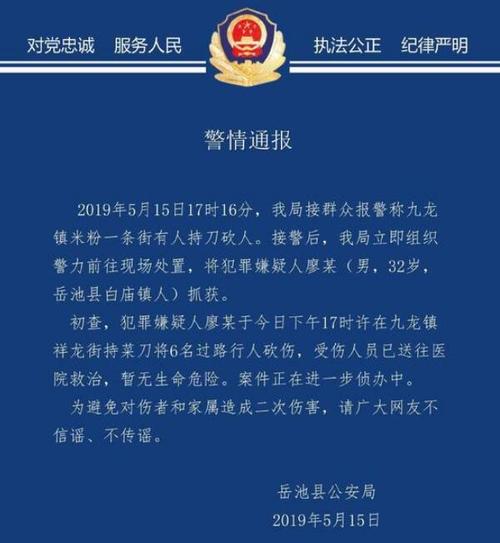 新闻 社会频道 法治   当天晚上11时许,岳池县公安局发布警情通报称