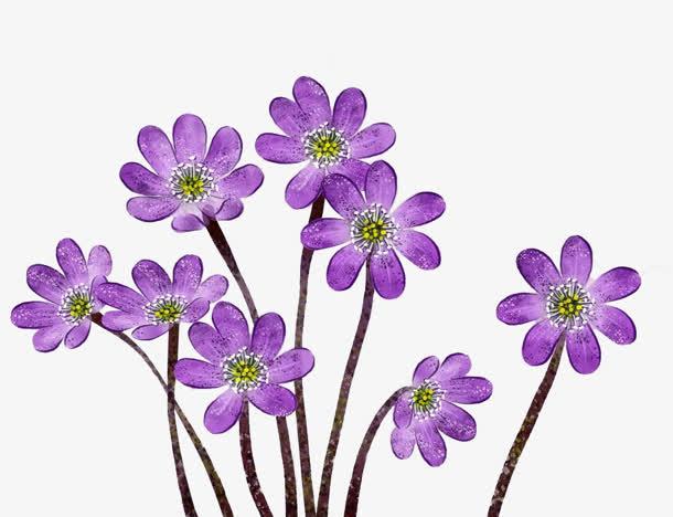 手绘水彩紫色小花装饰