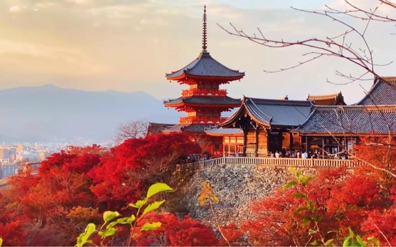京都|清水寺|红叶|五重塔|地主神社