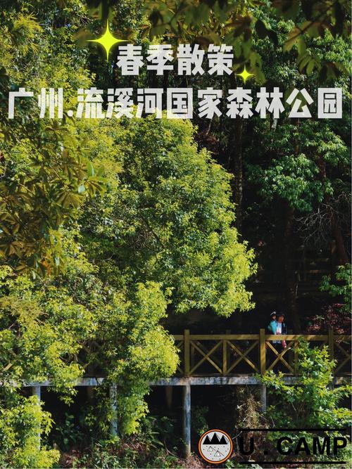 小众景点广州流溪河国家森林公园