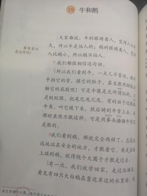牛和鹅,四上,周文肖,锦湖小学,20190904