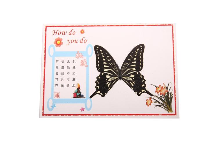 7寸蝴蝶卡片,小学生礼品,生日小礼品