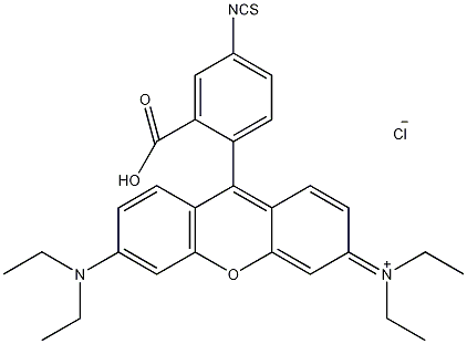 异硫氰酸盐罗丹明brhodaminebisothiocyanate