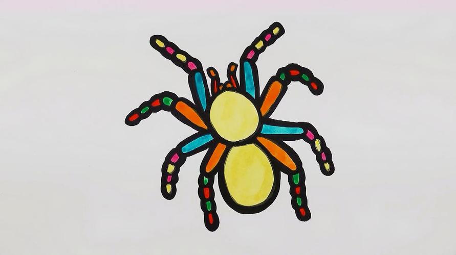 简易画教你画彩色的蜘蛛