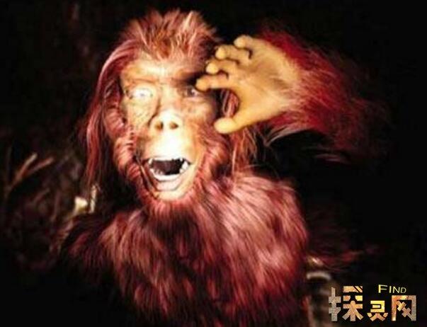 中国最可怕的原始森林神农架或藏有野人和史前怪物