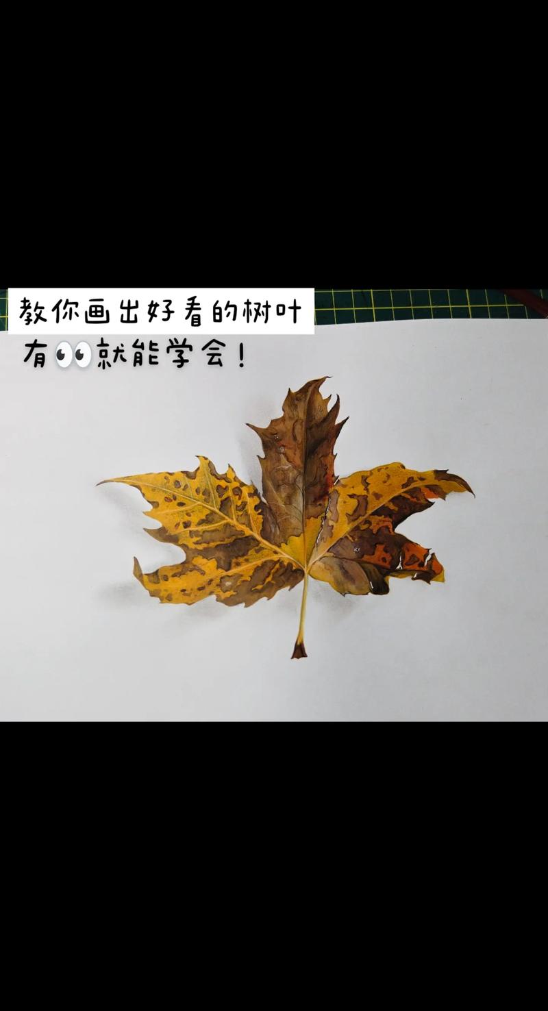教你画树叶画,简单的树叶画法,树叶手绘.准备:铅笔,橡皮,马 - 抖音