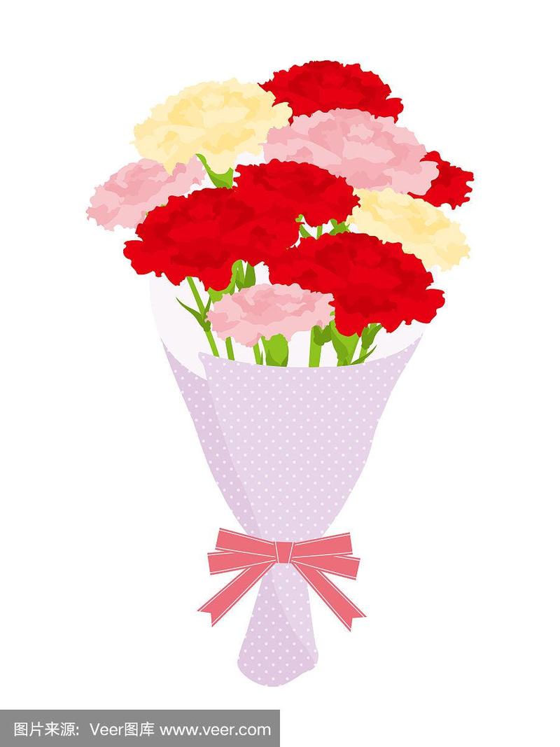 母亲节康乃馨花束礼物矢量插图