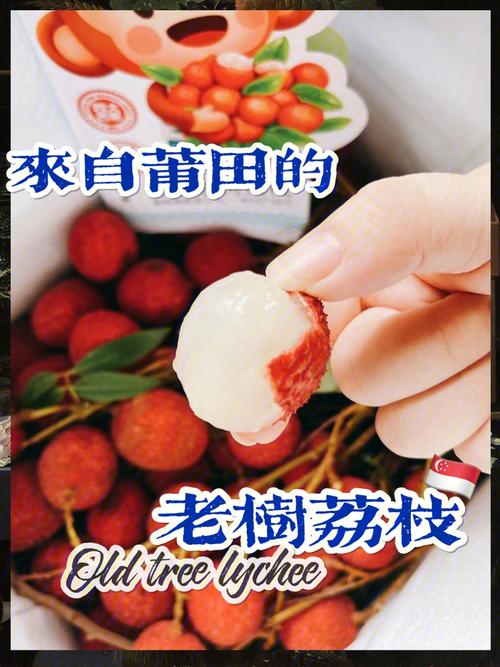 陈紫老树荔枝,一年只产20天来自米其林一星的莆田餐厅四大名果之一