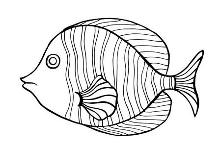 鱼装饰画图片