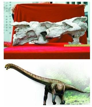 綦江北渡恐龙化石站立亮相