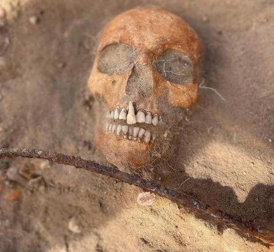 考古学家在波兰挖掘出17世纪女性吸血鬼的遗骸