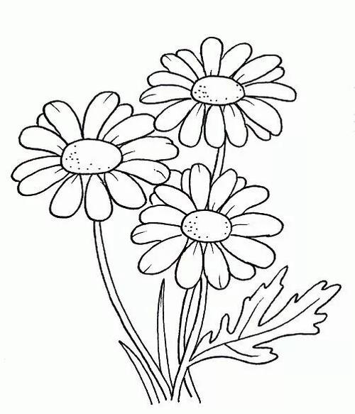 好一朵美丽的太阳花,超清线稿,既简单又实用,拿去临摹填色吧