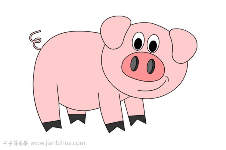 小猪简笔画儿童画