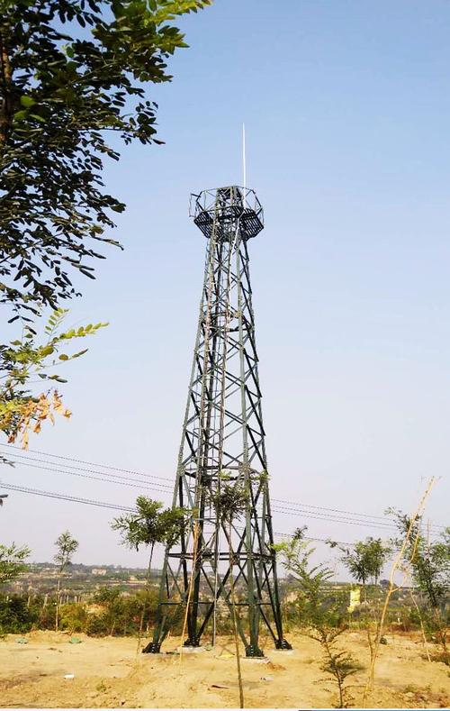 20米环保监测塔 20米防火监控塔报价 蓬泽生产 价格优惠