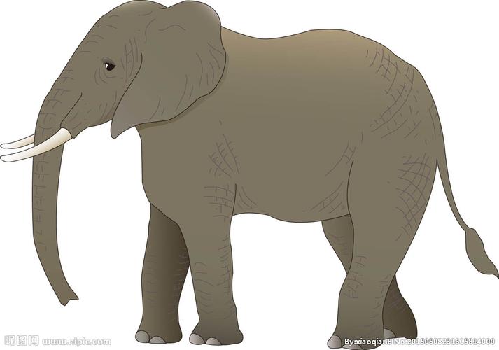大象手绘图片