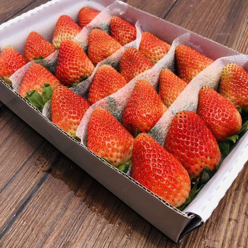 四季草莓新鲜当季水果 烘焙蛋糕草莓装饰 奶茶果茶2盒装——乡鲜佳