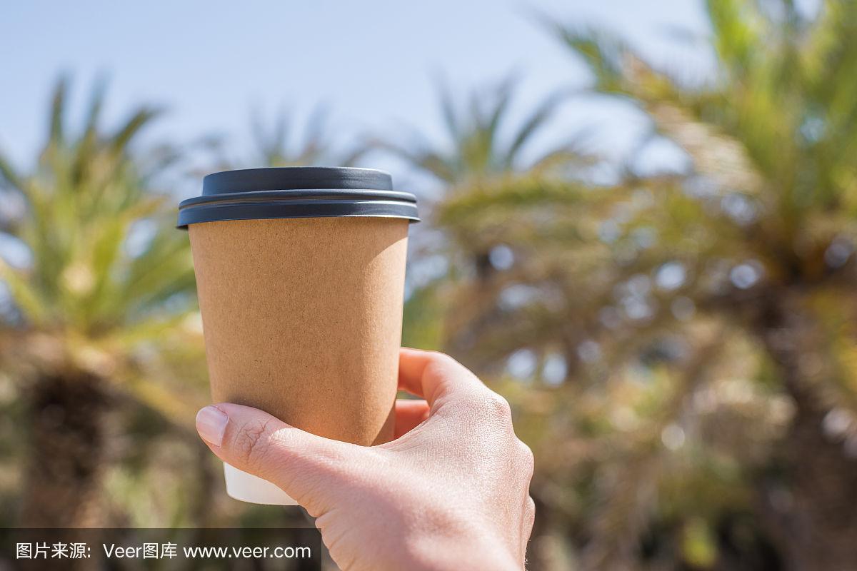在棕榈树的背景上,女人的手拿着纸杯咖啡.