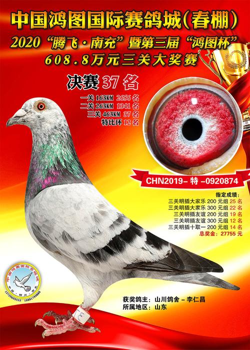 2020年中国鸿图国际赛鸽城(春棚)获奖鸽冠军-100名