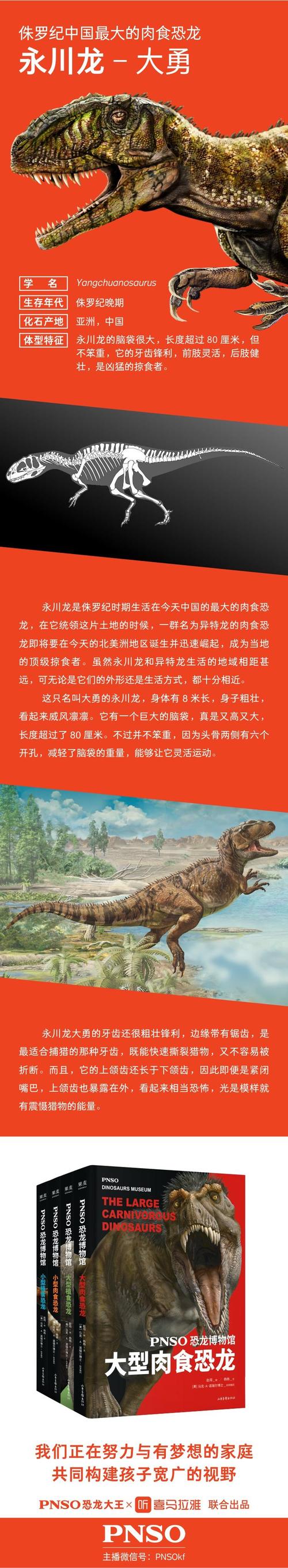 侏罗纪中国最大的肉食恐龙-永川龙大勇