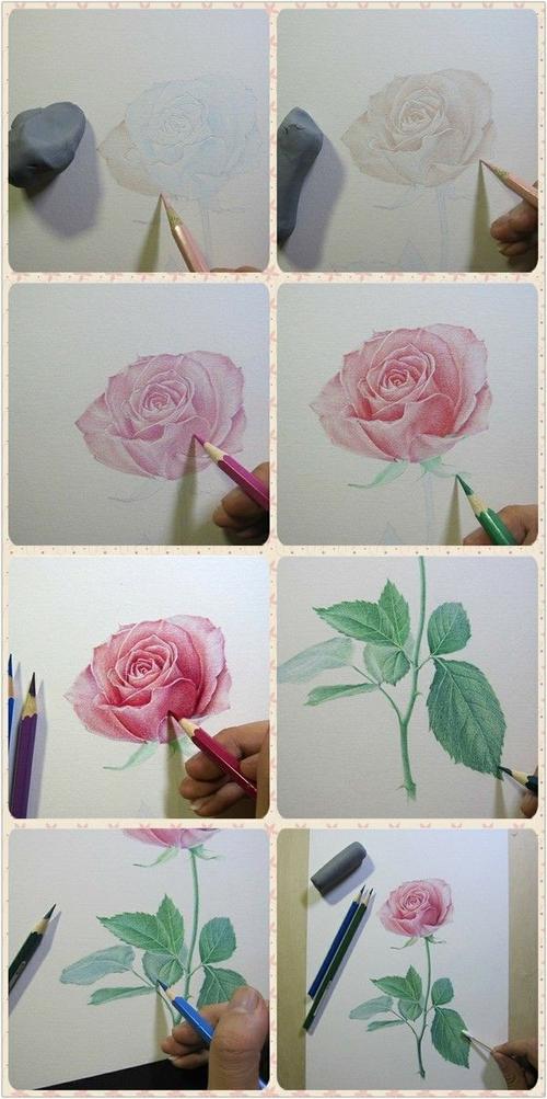 彩色铅笔画玫瑰花教程步骤图