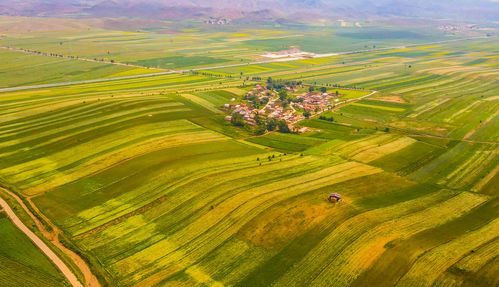 7月24日在内蒙古包头市固阳县拍摄的油菜花田(无人机照片).