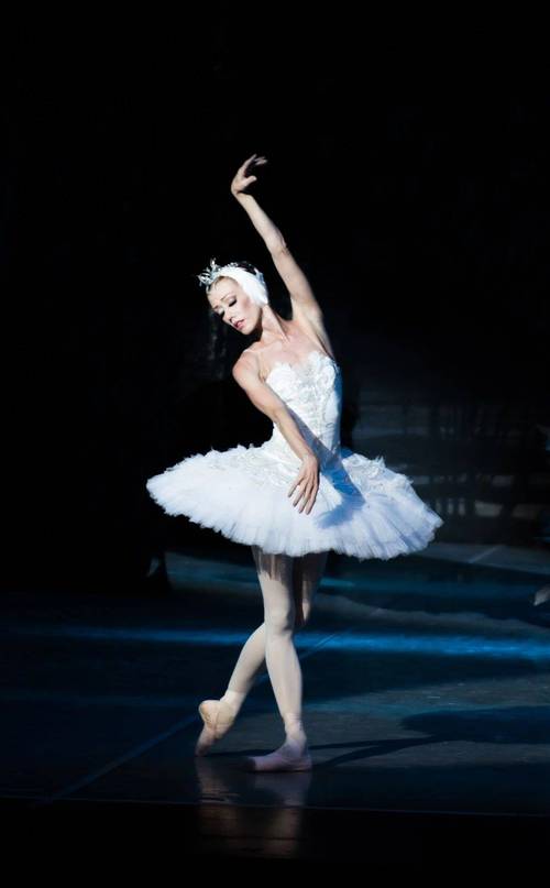 古典芭蕾舞剧天鹅湖2024年5月21日将在滨州大剧院上演