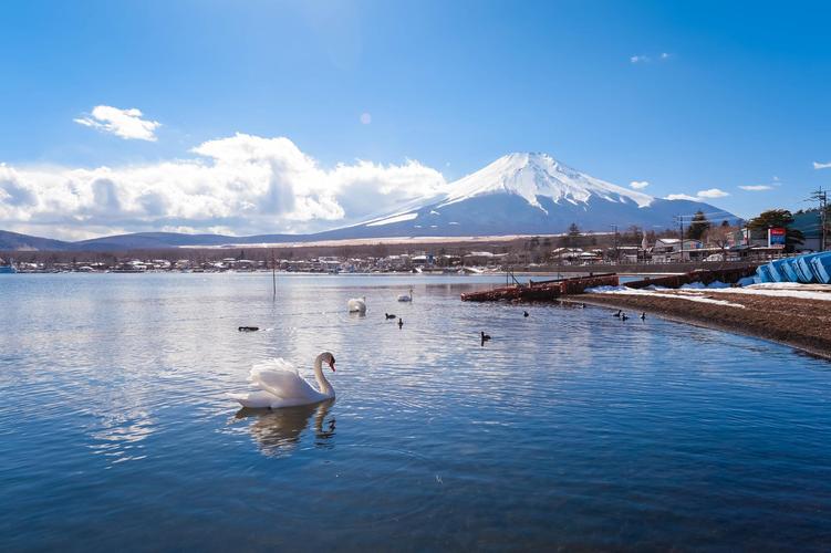 这里是富士山下最美的地方