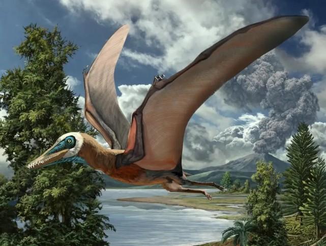 原来翼龙并不是恐龙,有翅膀却是爬行动物.