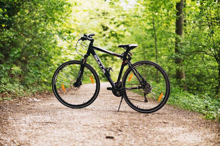 绿色环保的交通工具——自行车