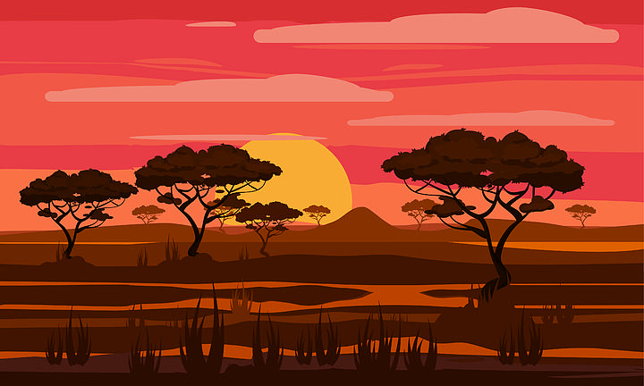 日落在非洲,稀树 i>草 /i> i>