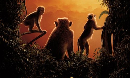 【原创】 纪录片《猴子王国》:动物世界的生存备忘录 - 90后作家罗毅