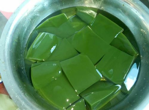豆腐柴由于果胶含量高,它的汁液加入碱可以凝固成翡绿色豆腐