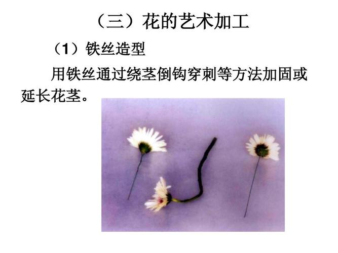 (三)花的艺术加工 (1)铁丝造型 用铁丝通过绕茎倒钩穿刺等方法加固或
