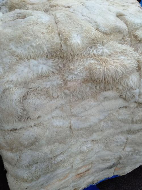 新西兰澳大利亚南非美国乌拉圭盐渍生羊皮羊皮生羊皮