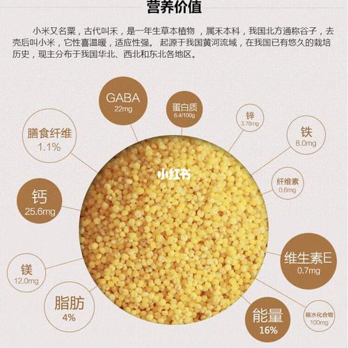 小米薏仁粥的功效与作用小米薏米芡实粥的功效