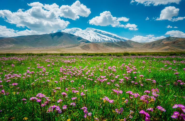 中国新疆伊犁春天雪山草地自然风光