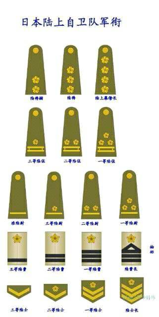 请问日本陆上自卫队北部方面队第七装甲师团幕僚副长是什么级别和军衔