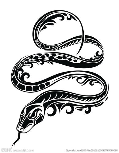 黑白剪影矢量素材图案蛇图片