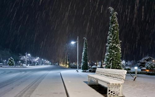 1雪冬季夜晚街头长椅高清壁纸,高清图片,壁纸,自然风景-桌面城市