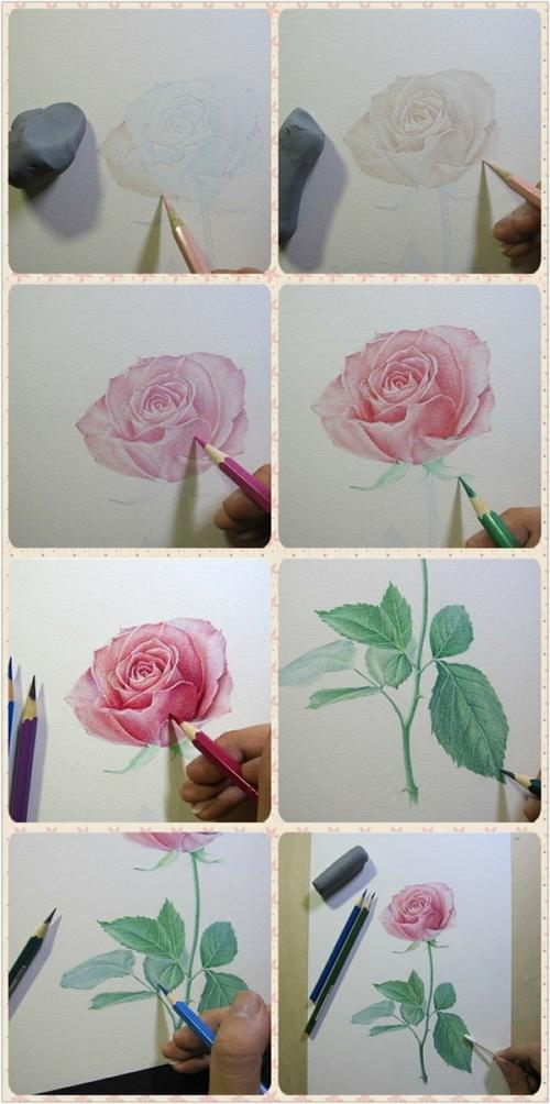 彩色铅笔画玫瑰花教程步骤图-堆糖,美好生活研究所