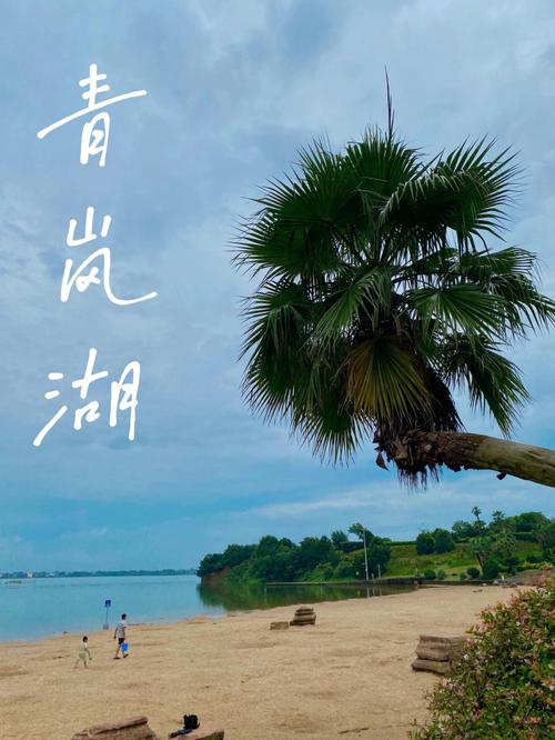 南昌市进贤县青岚湖森林公园97玩沙的地方在公园里面的月亮湾天然
