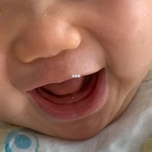 最近宝宝可爱吃手了,左手拿出右手伸进,无缝衔接下面牙床和上面牙床