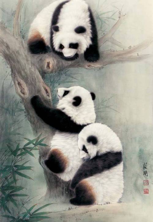 中国画精彩的动物工笔欣赏美好