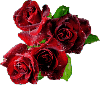 送你11朵玫瑰花,今生,最爱,只在乎你一人!