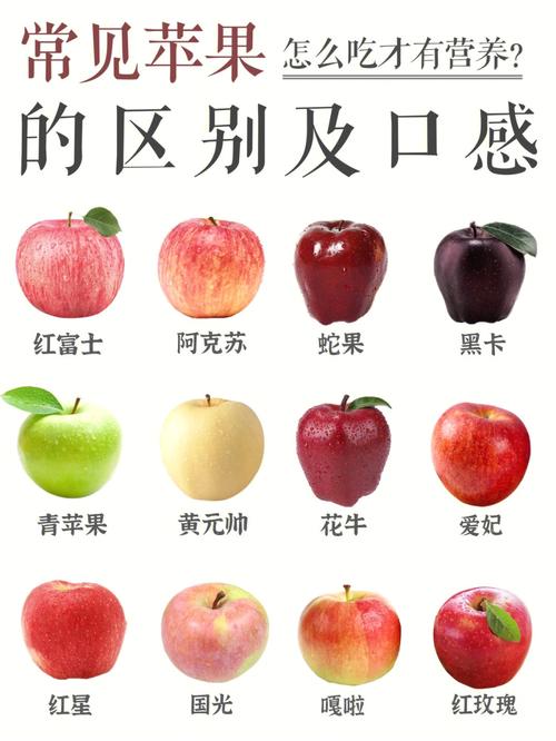 常见苹果的区别与口感78产地甜度营养价值75