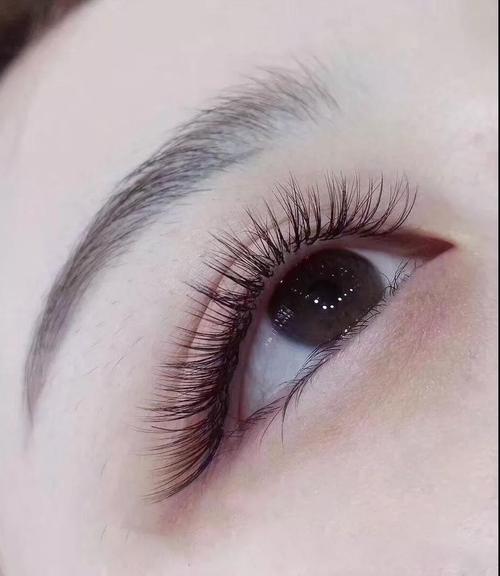 技嘉职校:剪水秋瞳,分享一组漂亮的美睫图片